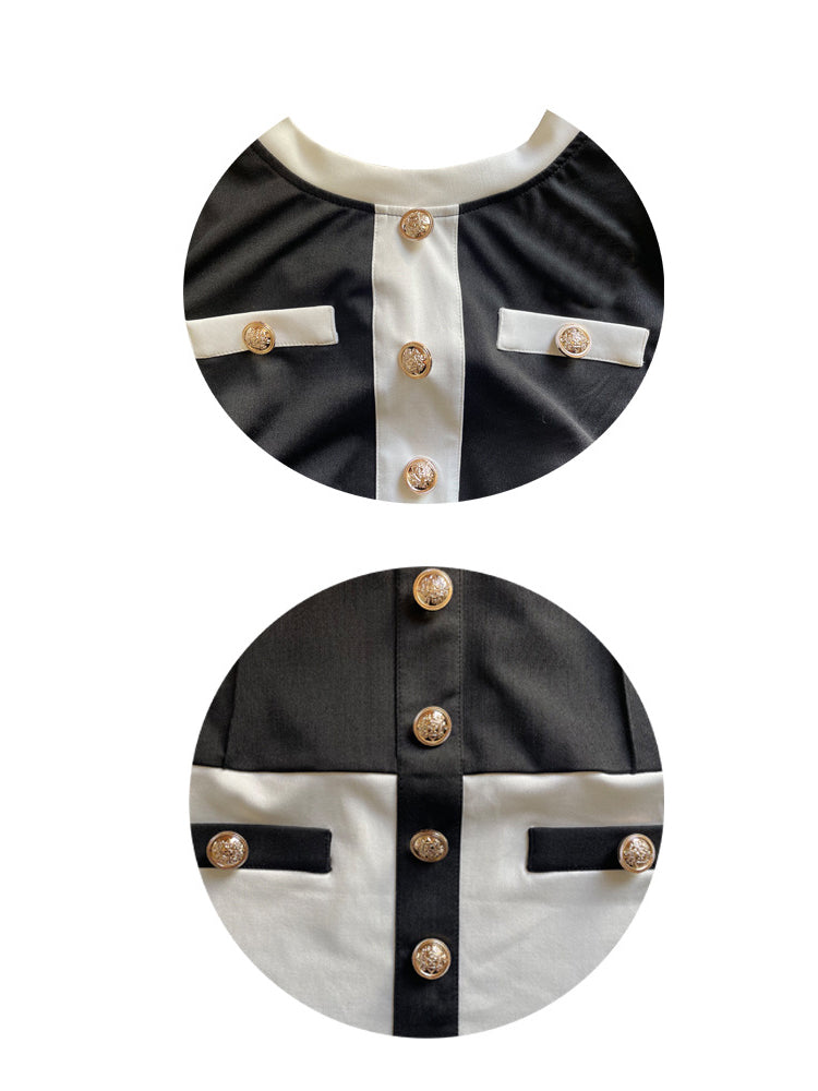 Two Pieces Color Block Button Front Skirt Set