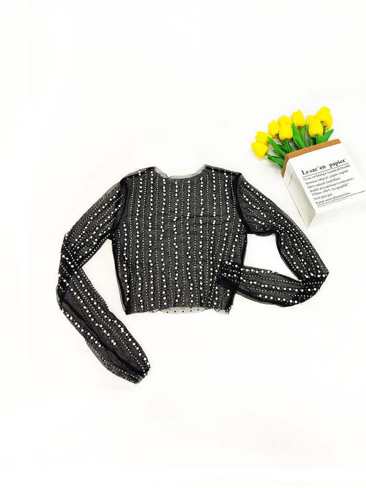 Long Sleeve Mesh Rhinestone Crop Top
